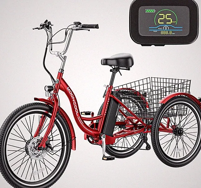 Electric Tricycle 24inch Adult Electric Tricycle With 36V 10Ah Battery &Charger